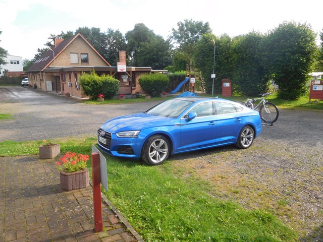 Im Grünen