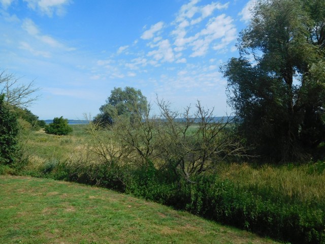 Am Barther Bodden