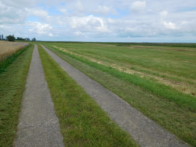 Radweg auf Rügen