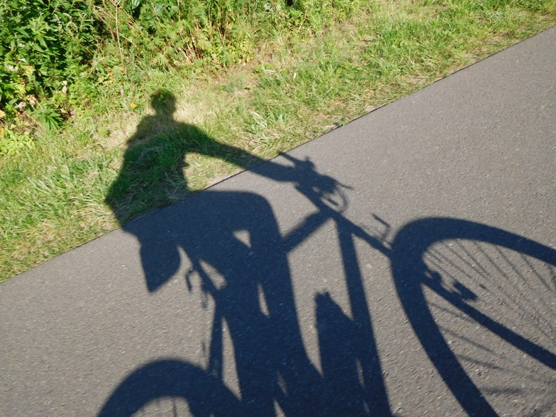 Schattenspiel_Kinnbackenhagen